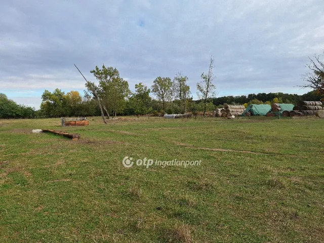 Eladó mezőgazdasági ingatlan Kunmadaras 6415 nm