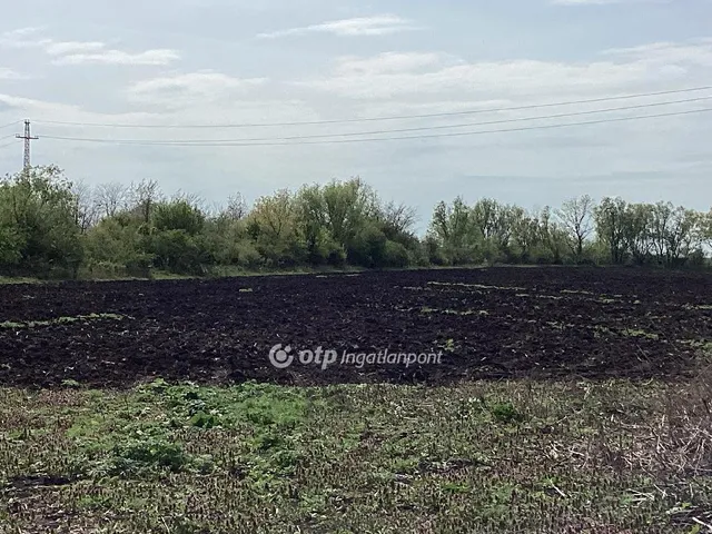 Eladó mezőgazdasági ingatlan Gyomaendrőd 212231 nm