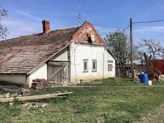 Eladó mezőgazdasági ingatlan Gyomaendrőd 212231 nm
