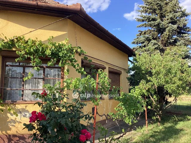 Eladó ház Gyomaendrőd 99 nm