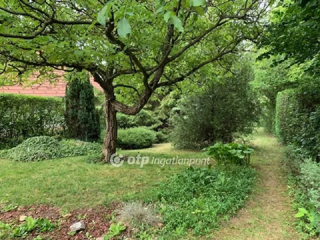Eladó telek Solymár, Szélhegy 796 nm