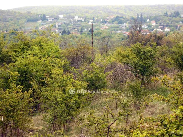 Eladó telek Szentendre, Szarvashegy 1450 nm