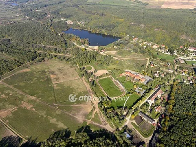 Eladó mezőgazdasági ingatlan Domony 300000 nm