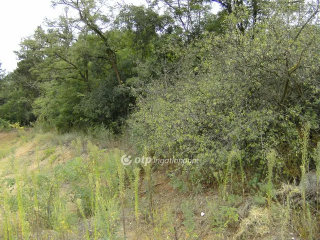 Eladó mezőgazdasági ingatlan Domony 300000 nm