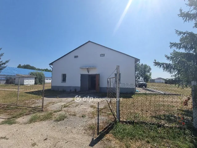 Eladó kereskedelmi és ipari ingatlan Gyarmat 1000 nm