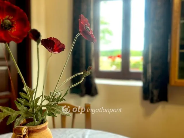 Eladó ház Nemesszalók 262 nm