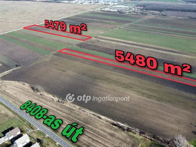 Eladó mezőgazdasági ingatlan Marcaltő 10959 nm