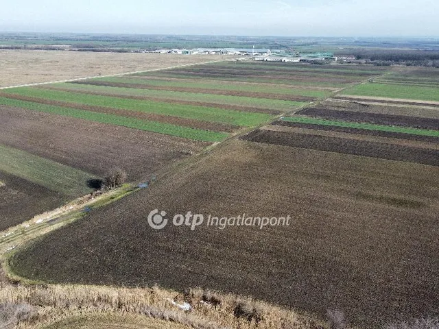 Eladó mezőgazdasági ingatlan Marcaltő 10959 nm