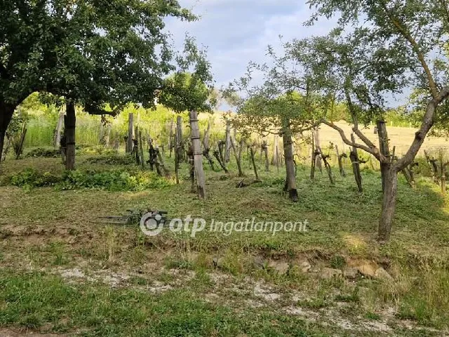 Eladó mezőgazdasági ingatlan Zalaszabar 2782 nm