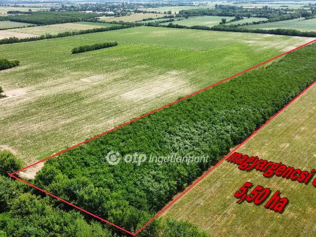 Eladó mezőgazdasági ingatlan Magyargencs 9 nm