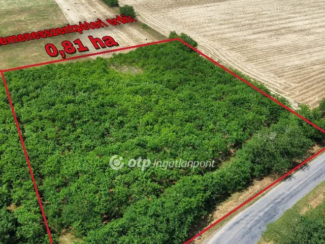 Eladó mezőgazdasági ingatlan Magyargencs 9 nm