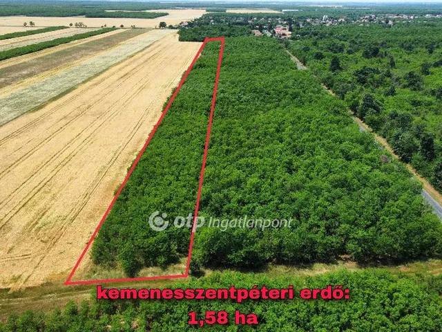 Eladó mezőgazdasági ingatlan Magyargencs 9 nm