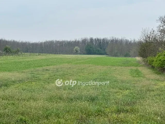Eladó mezőgazdasági ingatlan Vanyola 5395 nm