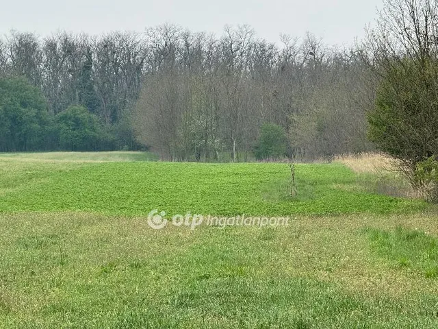 Eladó mezőgazdasági ingatlan Vanyola 5395 nm