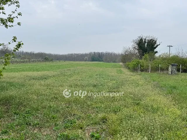 Eladó mezőgazdasági ingatlan Vanyola 5395 nm