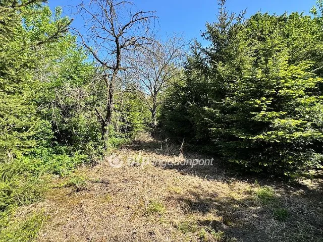 Eladó telek Pápa, Kishegy 1733 nm