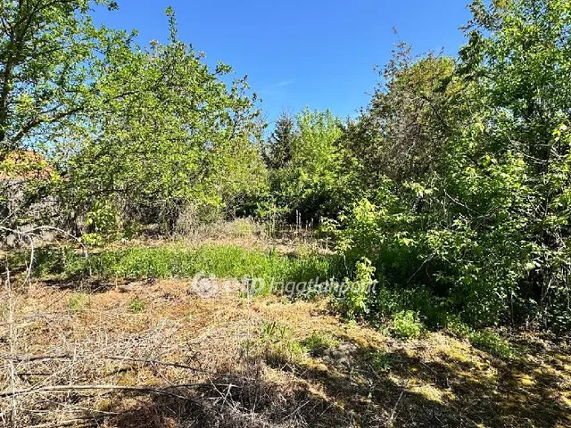 Eladó telek Pápa, Kishegy 1733 nm