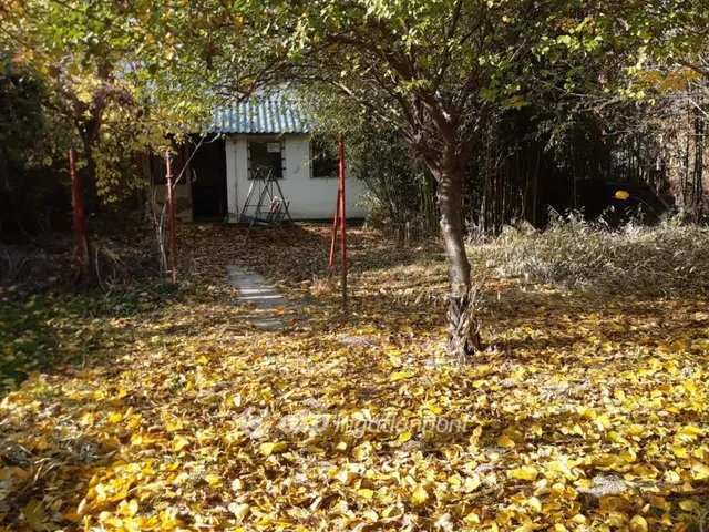 Eladó telek Dömsöd 393 nm