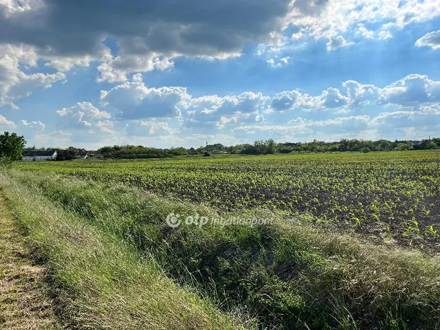 Eladó telek Előszállás 8893 nm
