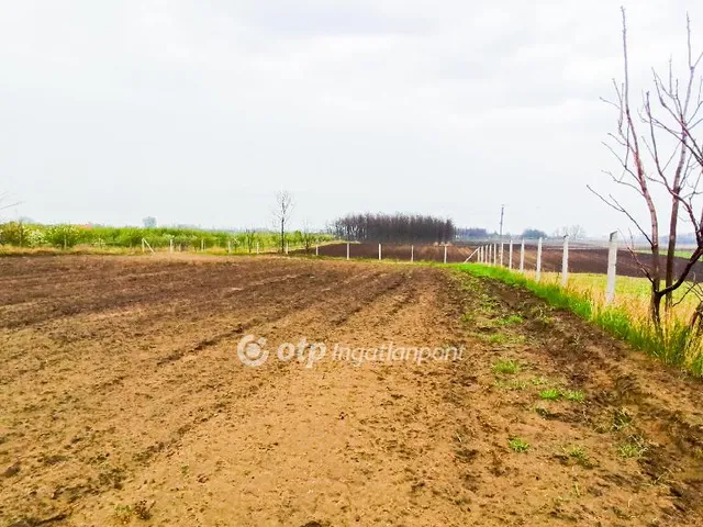 Eladó telek Lajosmizse 5575 nm