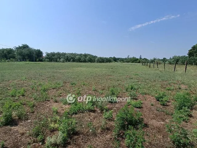 Eladó telek Kecskemét, Felsőcsalános 1027 nm