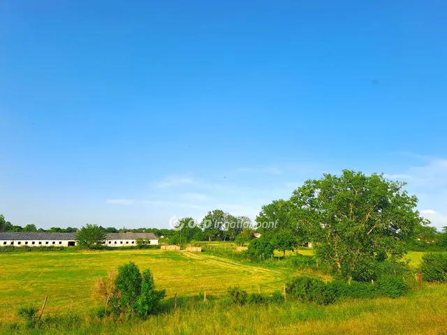 Eladó mezőgazdasági ingatlan Solt 124448 nm