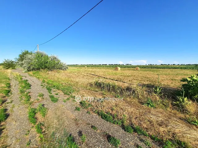 Eladó telek Szolnok, Tenyősziget 737 nm