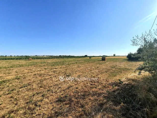 Eladó telek Szolnok, Tenyősziget 737 nm