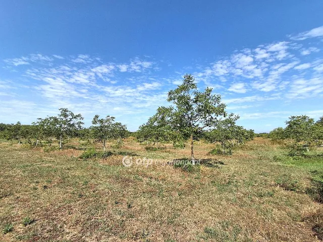 Eladó mezőgazdasági ingatlan Cegléd 36 nm