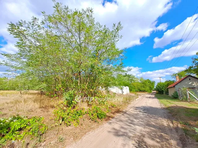 Eladó mezőgazdasági ingatlan Cegléd 70 nm