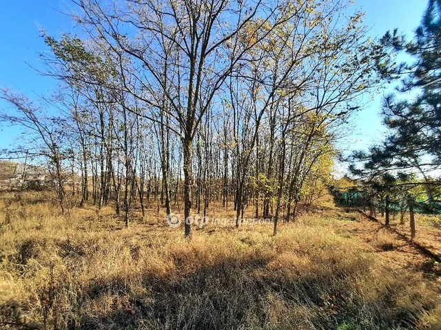 Eladó mezőgazdasági ingatlan Csemő 2170 nm