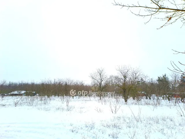Eladó telek Kecskemét 923 nm