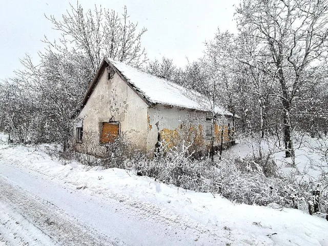 Eladó mezőgazdasági ingatlan Abony 71 nm