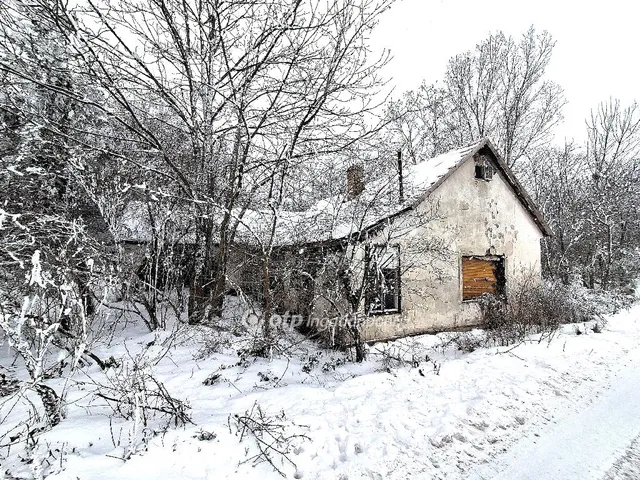 Eladó mezőgazdasági ingatlan Abony 71 nm