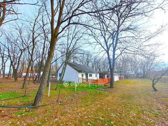 Eladó mezőgazdasági ingatlan Lajosmizse 45 nm