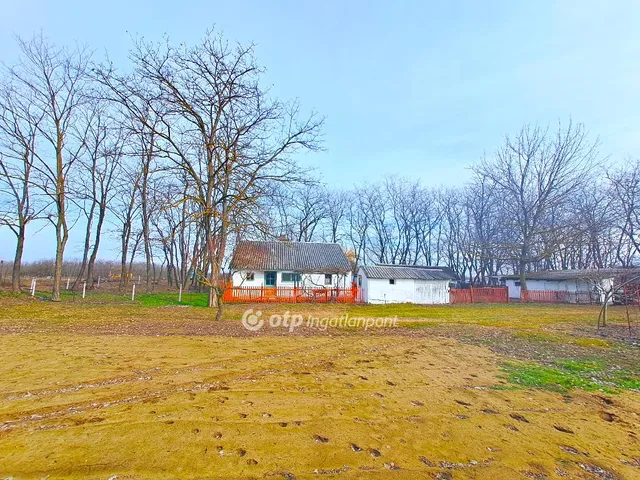 Eladó mezőgazdasági ingatlan Lajosmizse 45 nm