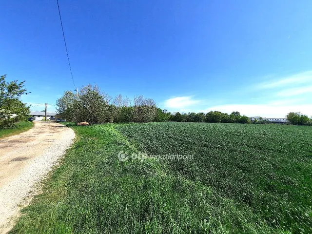Eladó telek Kiskunfélegyháza 49496 nm