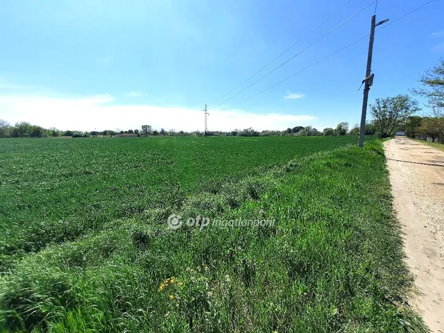 Eladó telek Kiskunfélegyháza 49496 nm