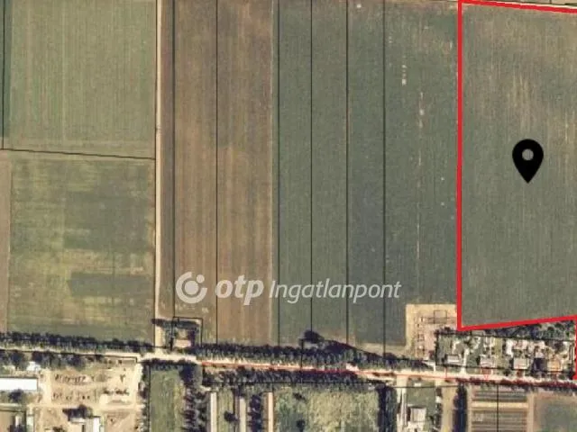 Eladó mezőgazdasági ingatlan Kamut 68707 nm