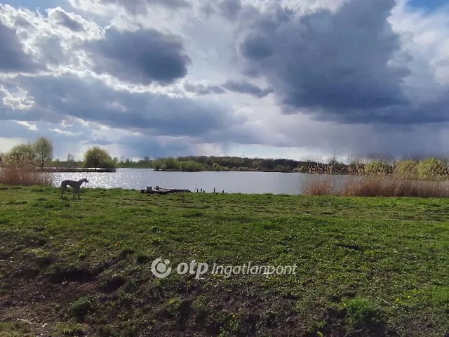 Eladó mezőgazdasági ingatlan Fehérgyarmat 163015 nm