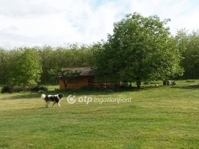 Eladó telek Nyíregyháza 15000 nm