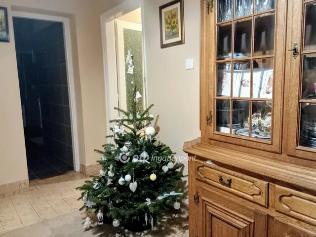 Eladó ház Fehérgyarmat 95 nm