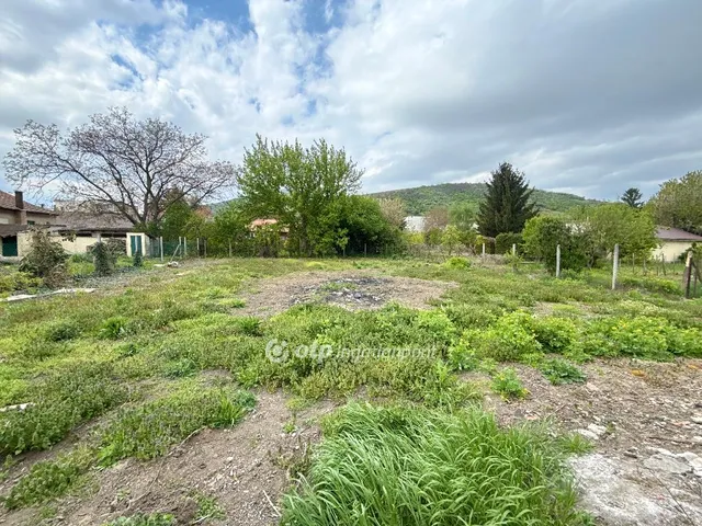 Eladó telek Tokaj 844 nm