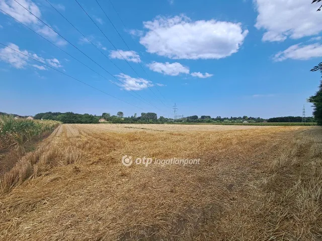 Eladó telek Nyíregyháza 6893 nm