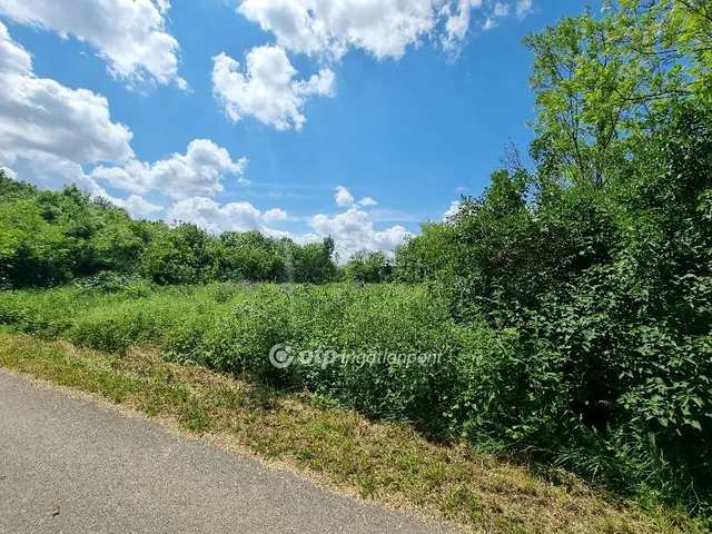 Eladó telek Mihályháza 1324 nm