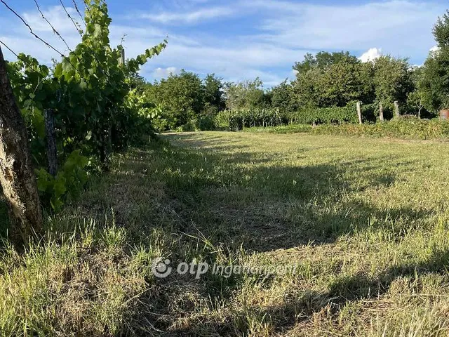 Eladó telek Vaszar, Csendes 1075 nm