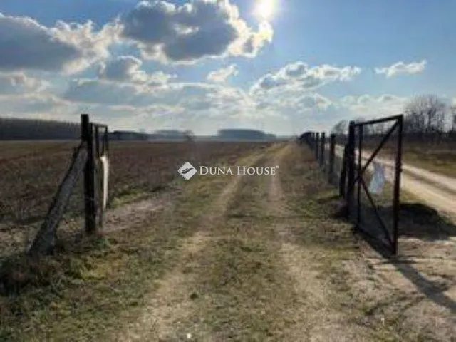Eladó mezőgazdasági ingatlan Albertirsa 113808 nm
