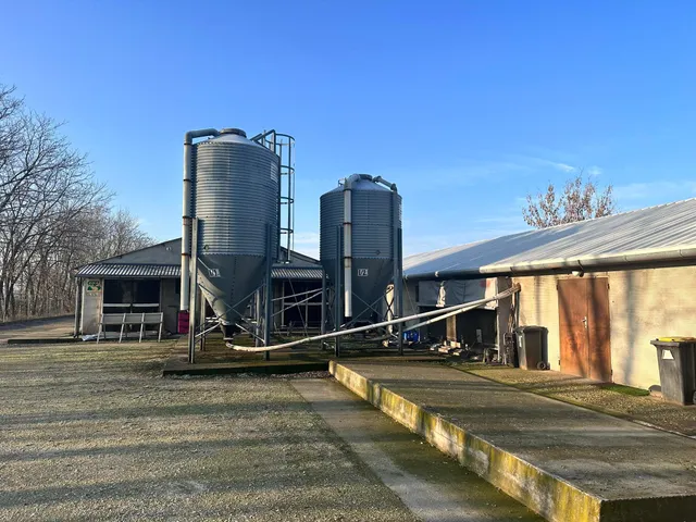 Eladó mezőgazdasági ingatlan Dabas, Alkotmány utca 2481 nm