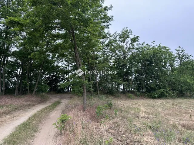 Eladó telek Dabas 720 nm