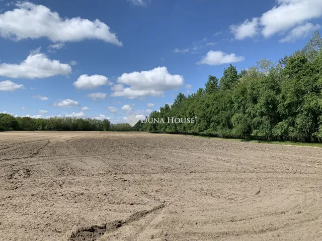 Eladó mezőgazdasági ingatlan Lajosmizse 3109 nm